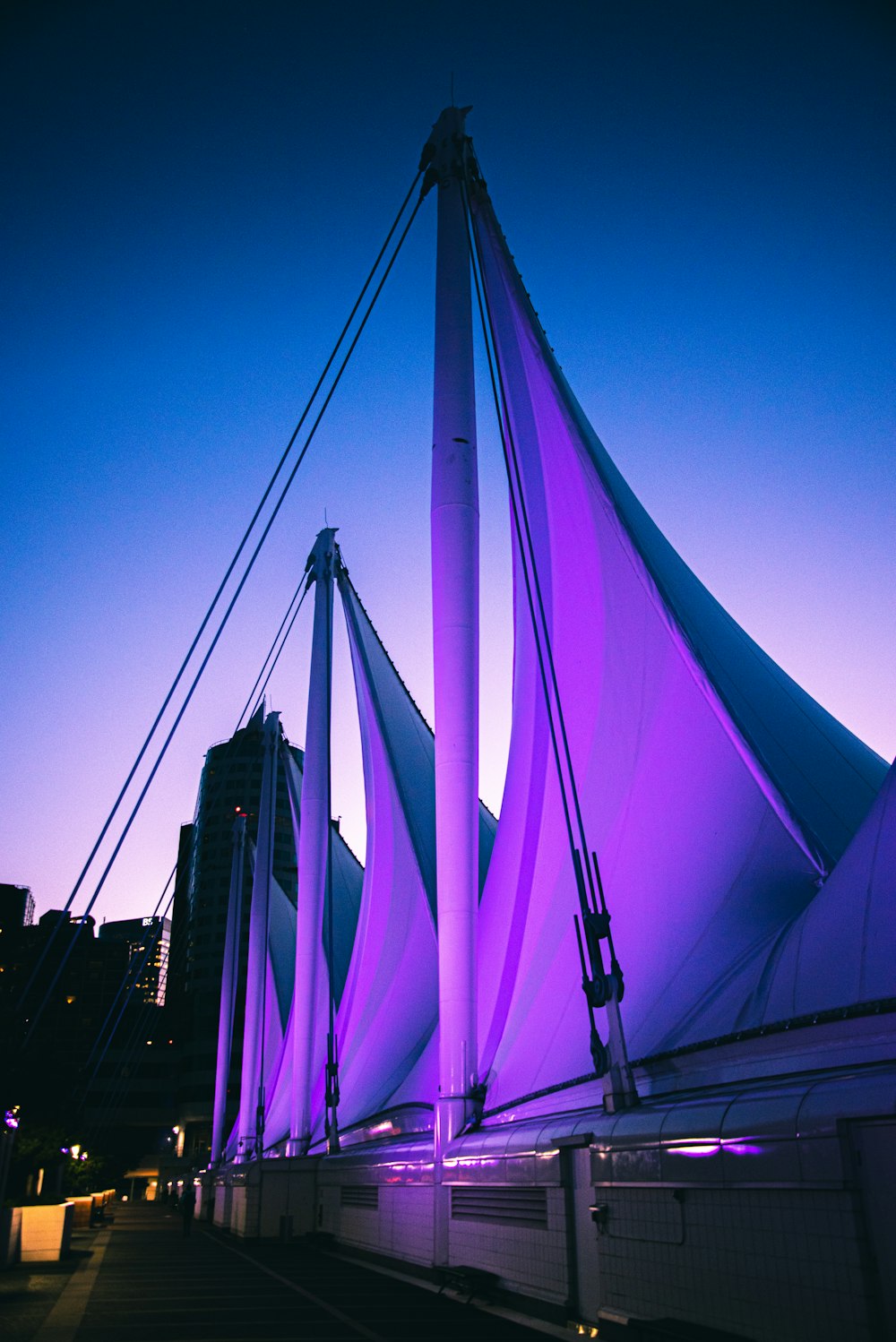 Edificio iluminado de color púrpura y azul durante la noche