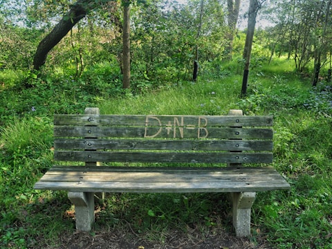 A weathered wooden bench with the letters 'DN+B' carved into the backrest is surrounded by lush green trees and grass. The bench appears old, with visible signs of aging and a rugged texture. Dense vegetation creates a natural and tranquil setting, with light filtering through the foliage.