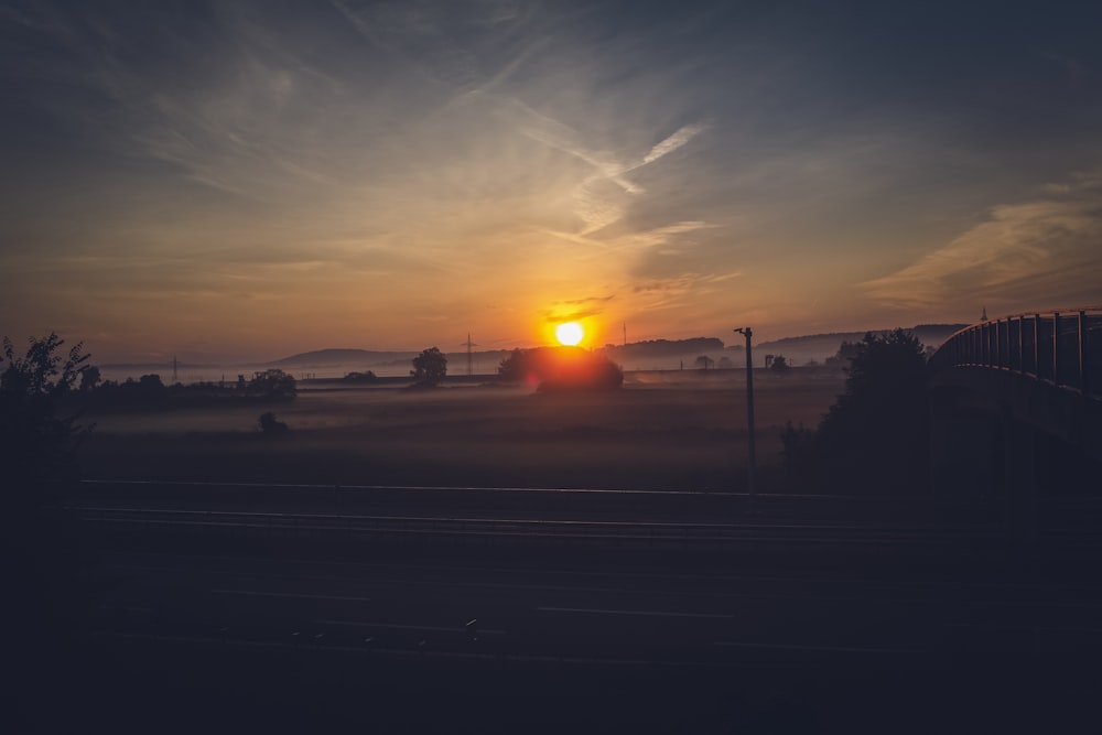 silhouette of trees during sunset