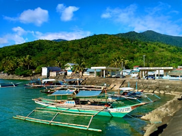 green and white boat on body of water during daytime