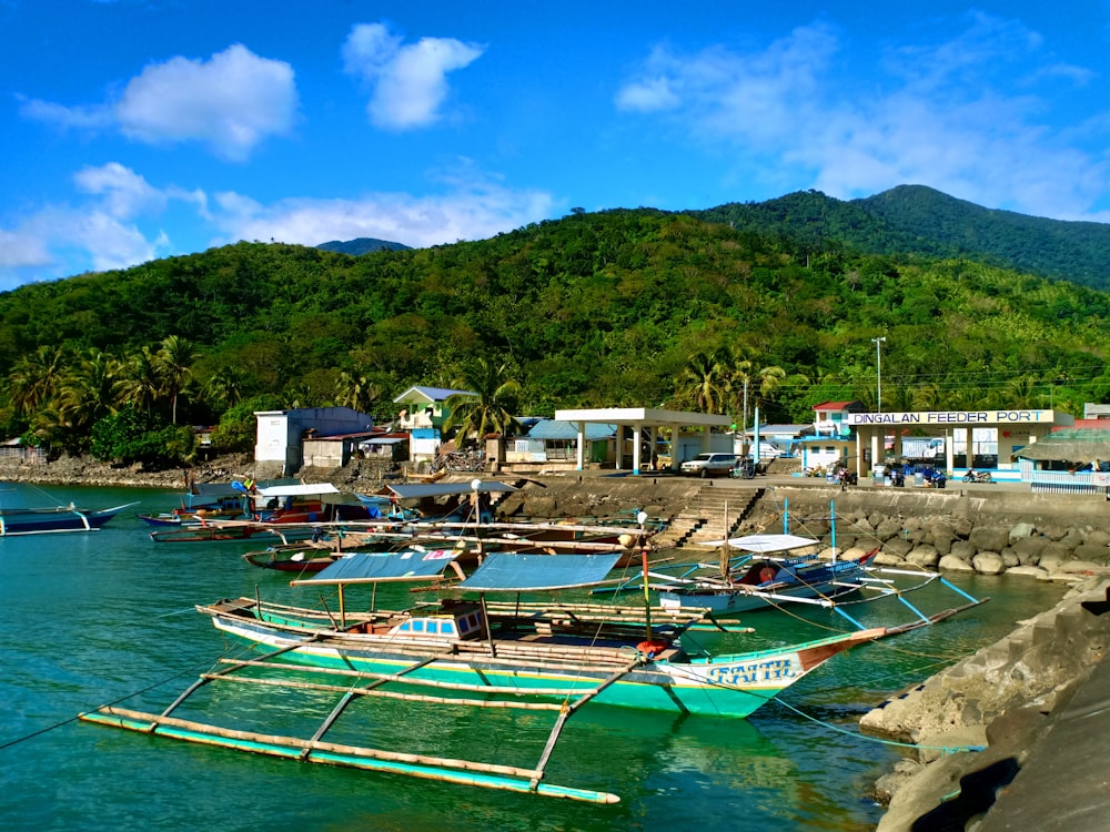 green and white boat on body of water during daytime