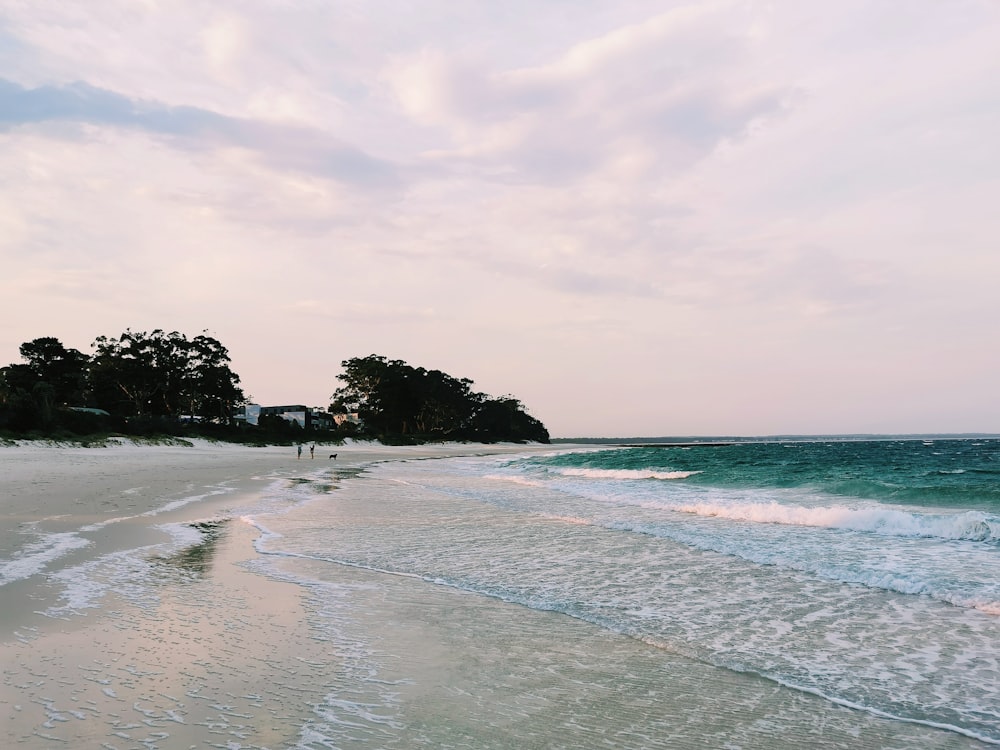 beach shore under cloudy sky during daytime