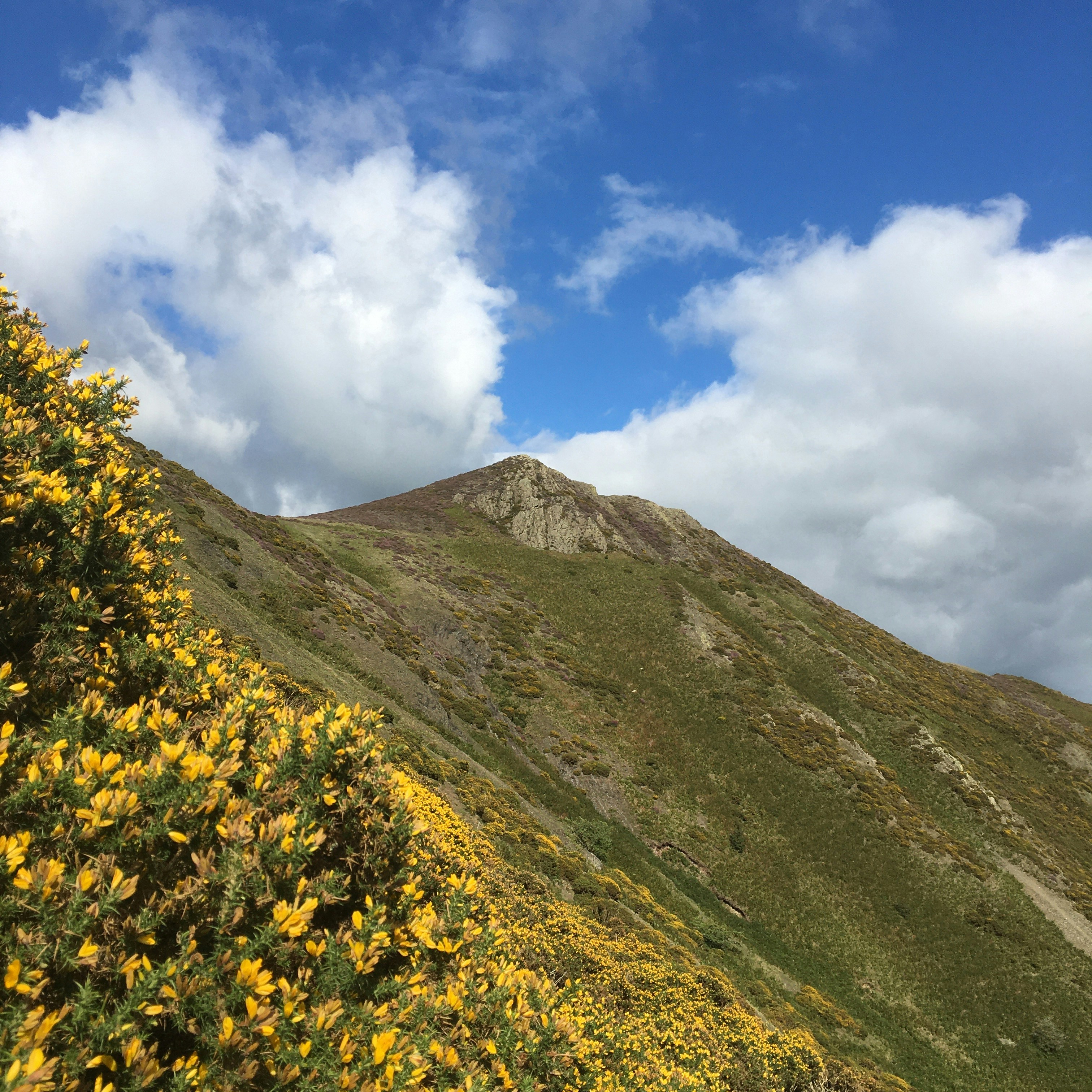 Grüner Berg tagsüber unter blauem Himmel