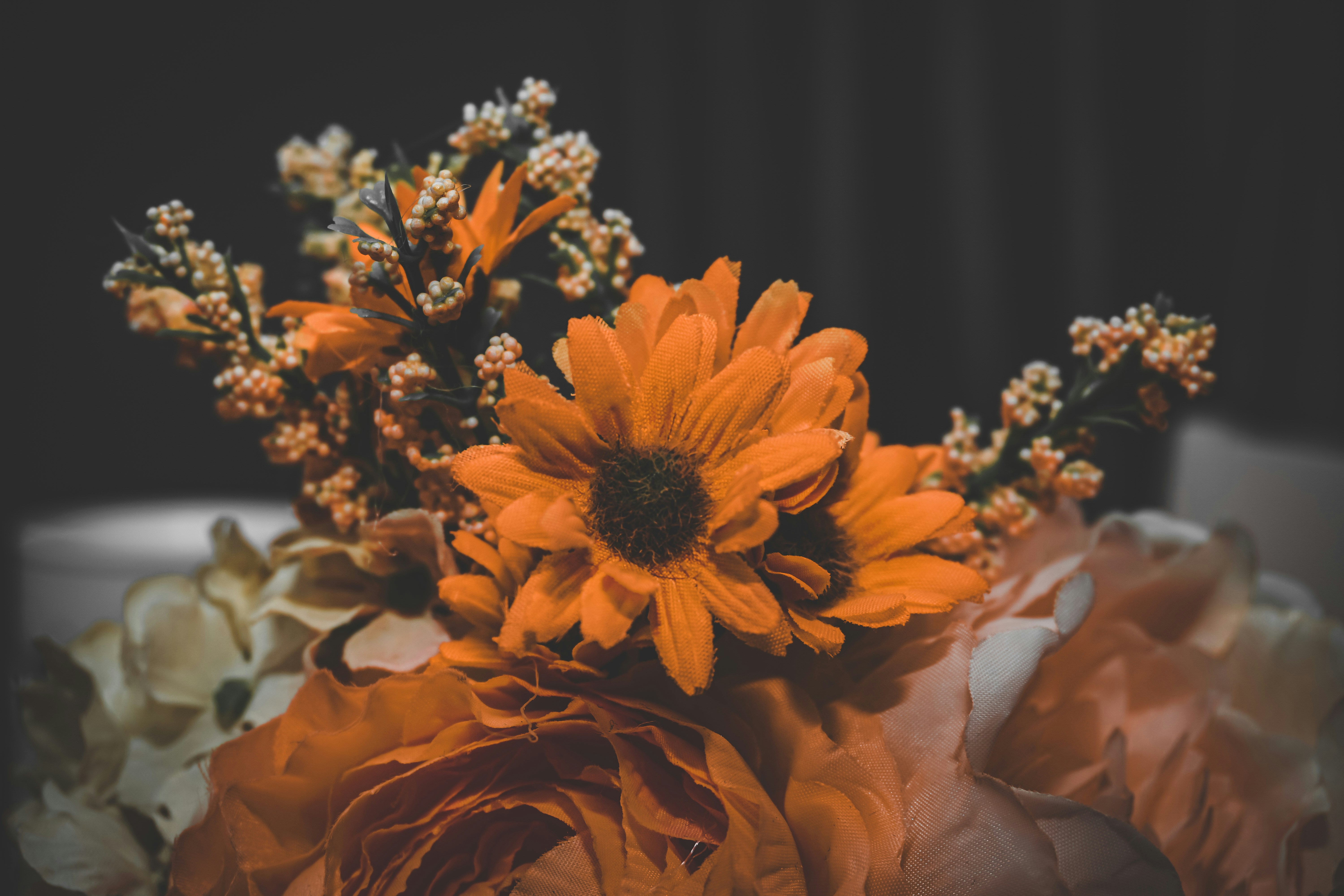 Photo by gricey_visuals