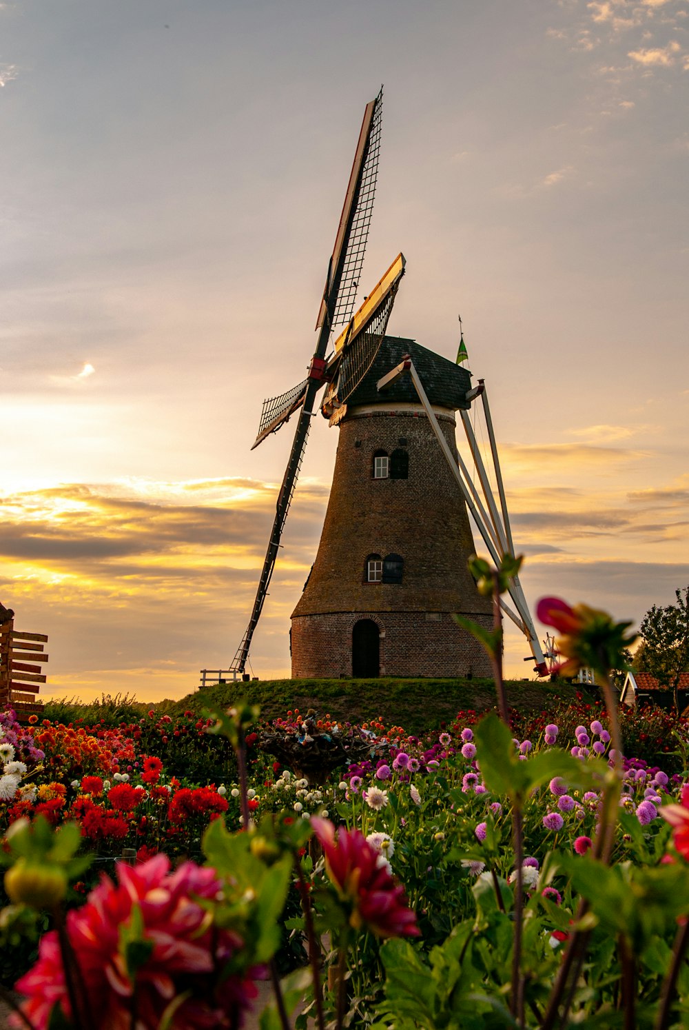 brown and black windmill surrounded by flowers during sunset