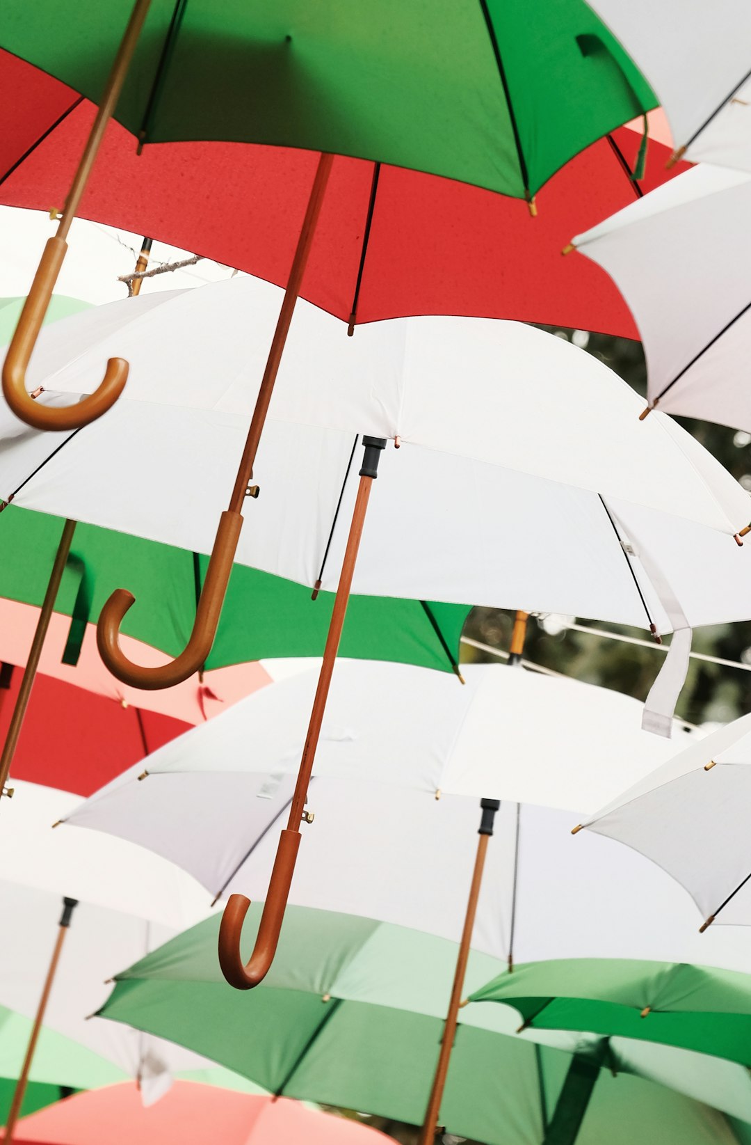 red and white umbrella lot