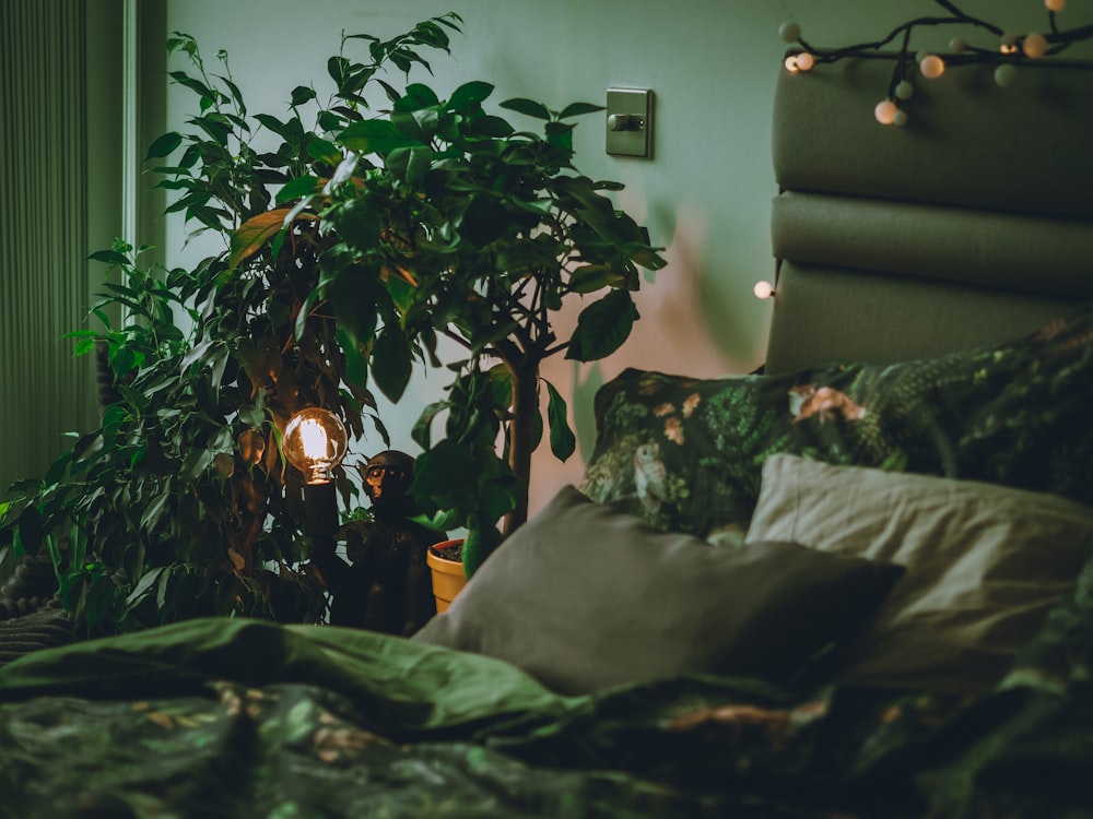 green indoor plant near white wall