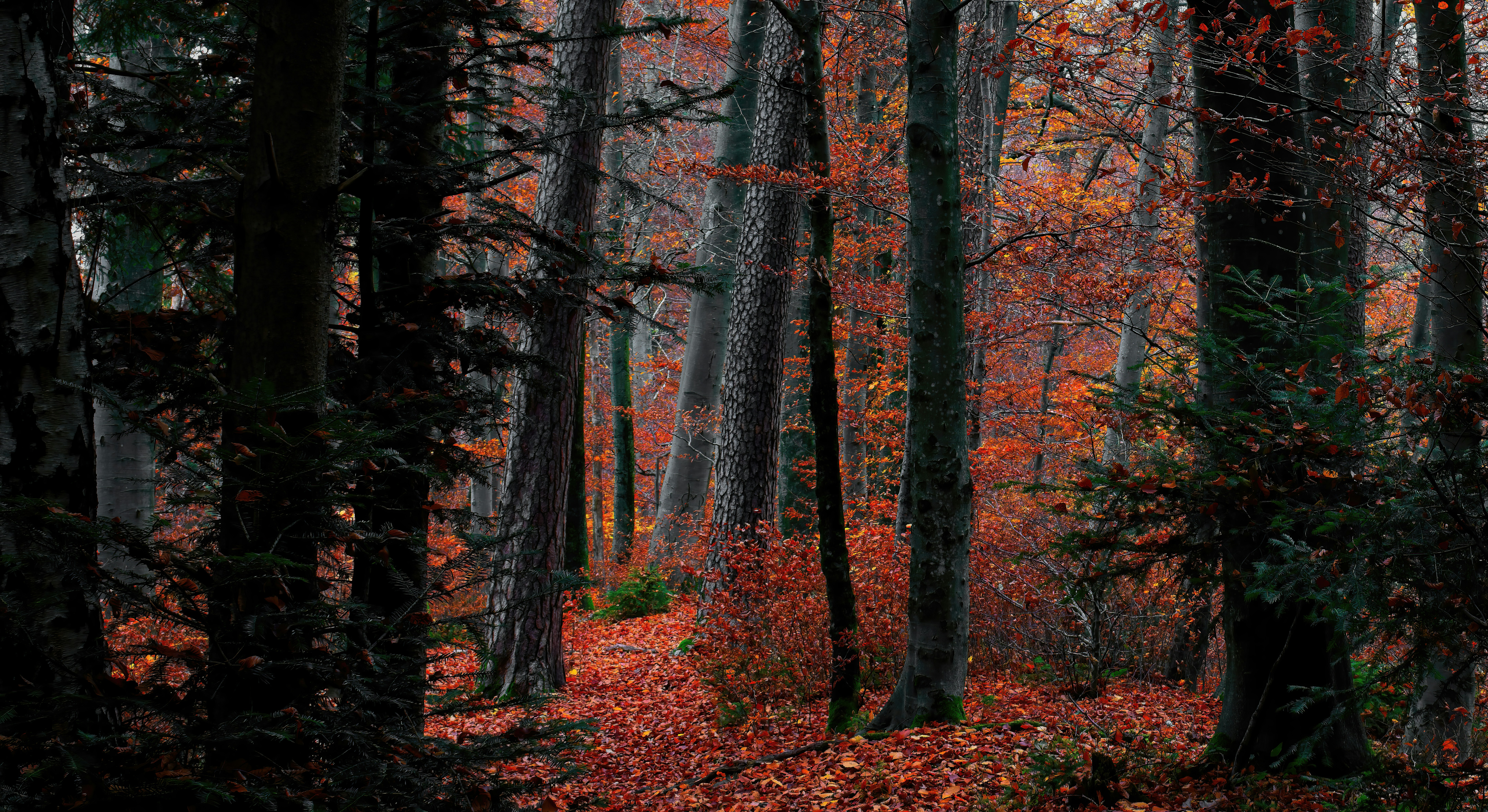 Photo by rgaleriacom