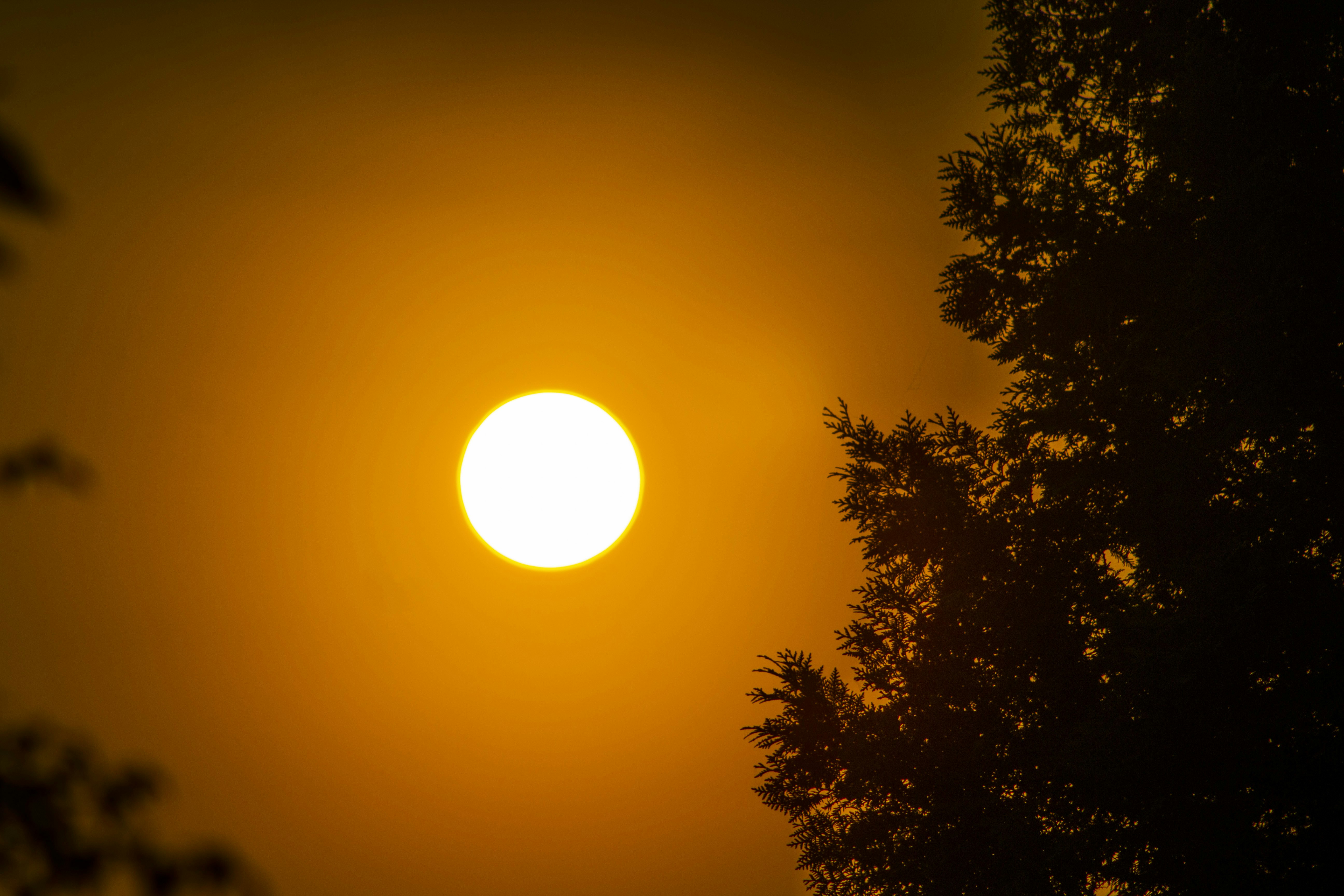 Photo by ellabaxter20201