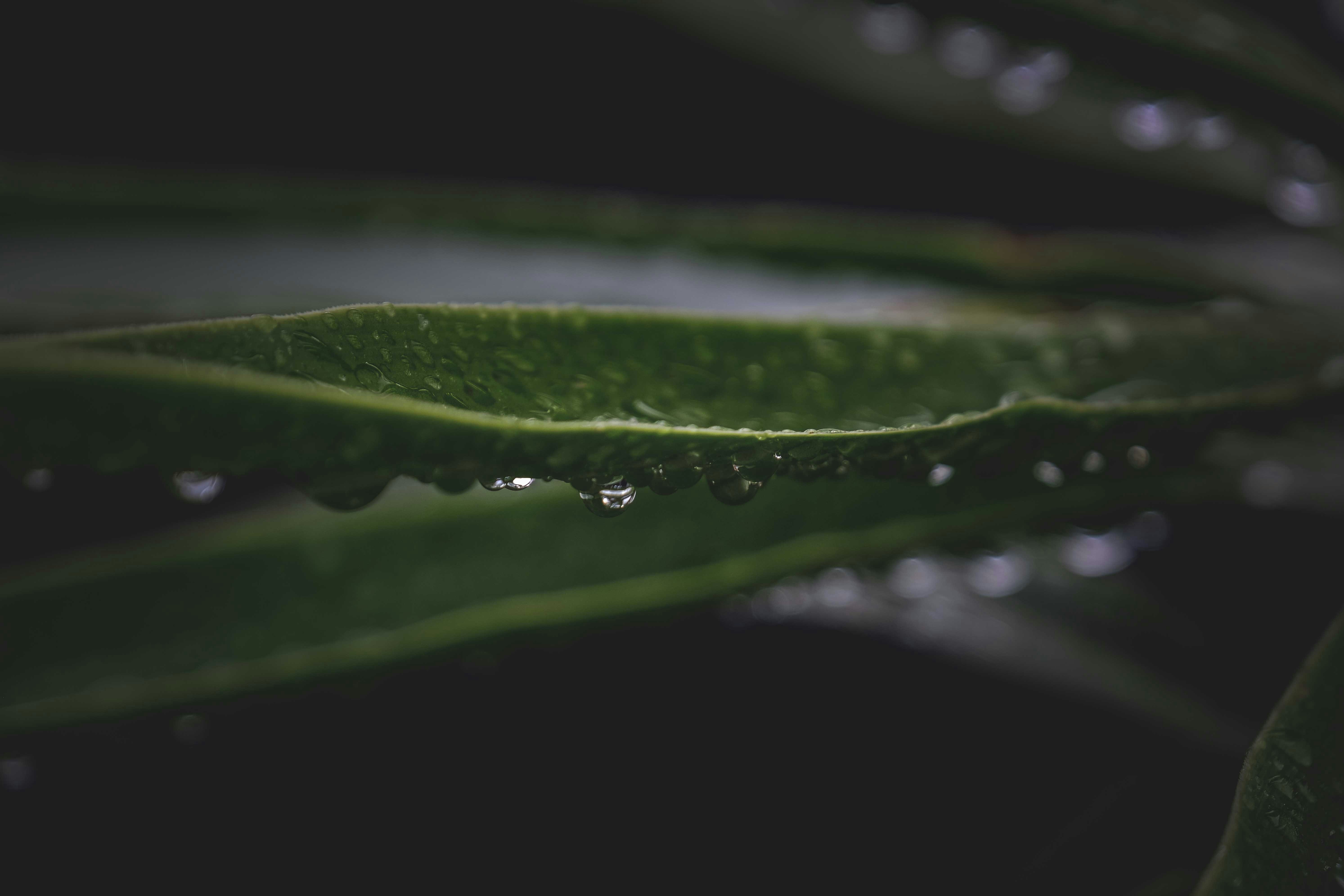 Photo by francesco_ungaro