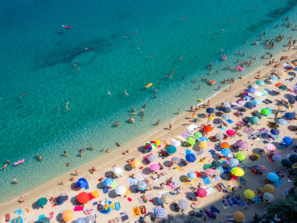 people on beach during daytime