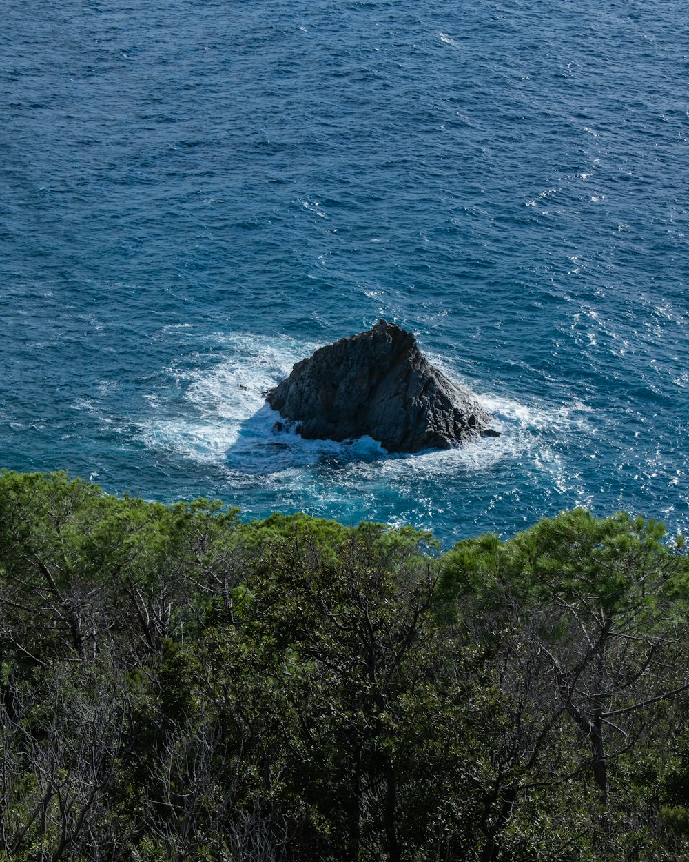 green trees on rocky mountain beside blue sea during daytime