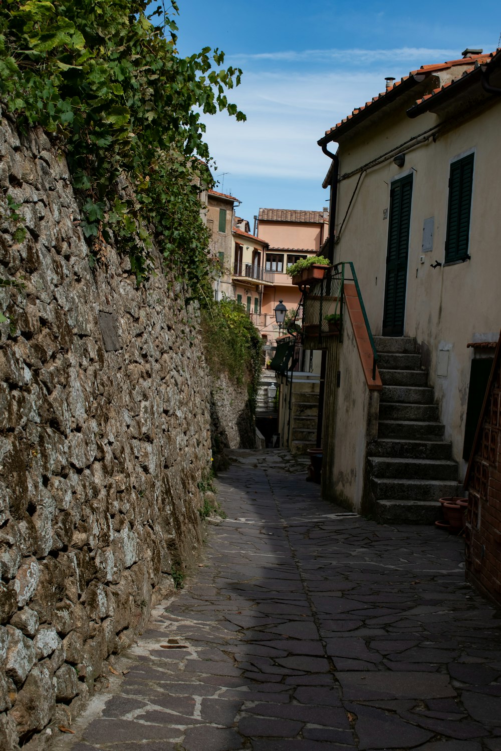 gray concrete pathway between houses during daytime