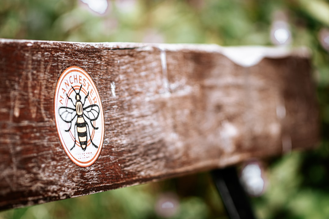 brown wooden fence with white and black butterfly