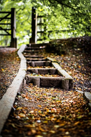 brown and black concrete stairs