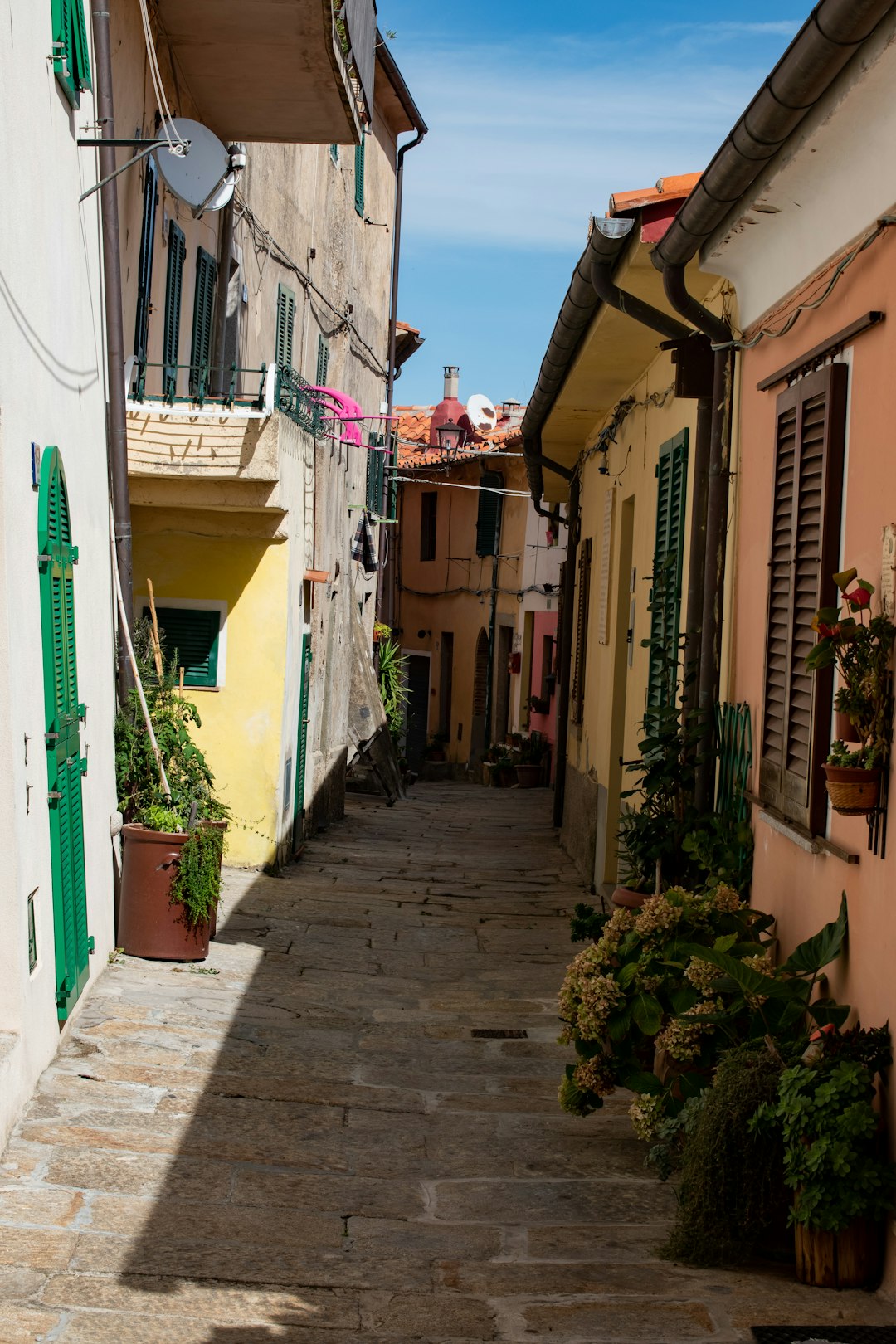 green and white concrete houses during daytime