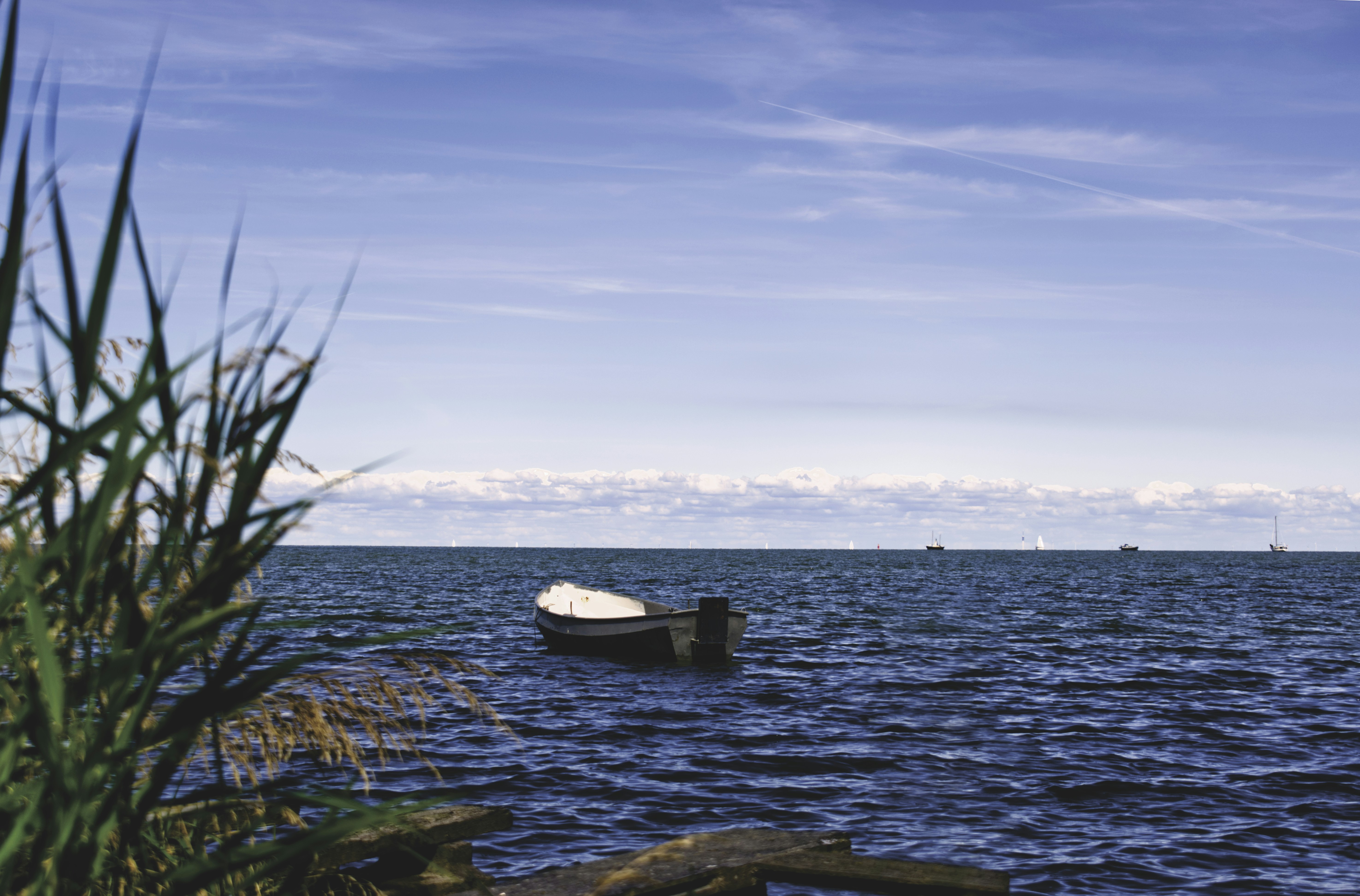 Photo by tanywka_2402