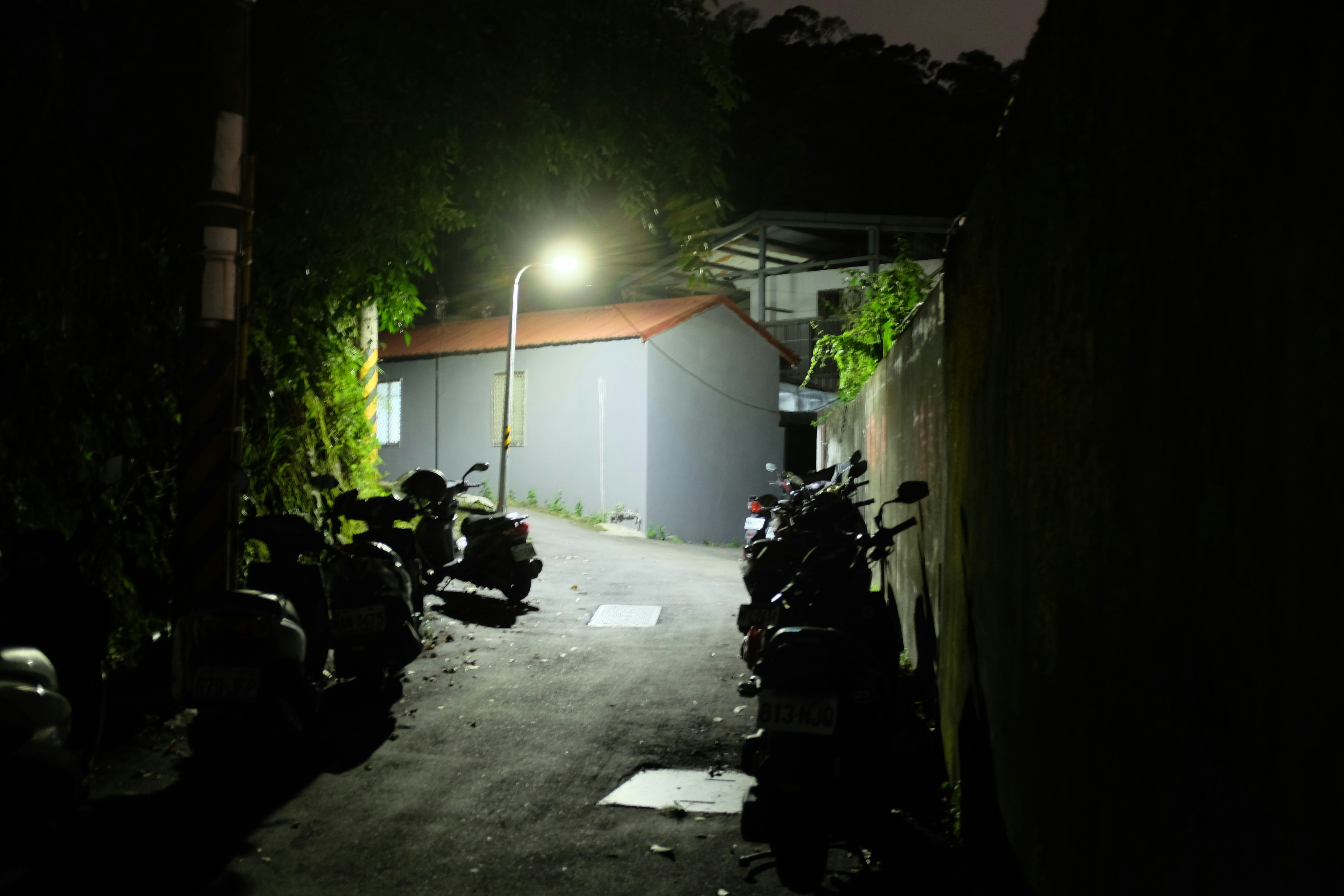 Photo by mclee