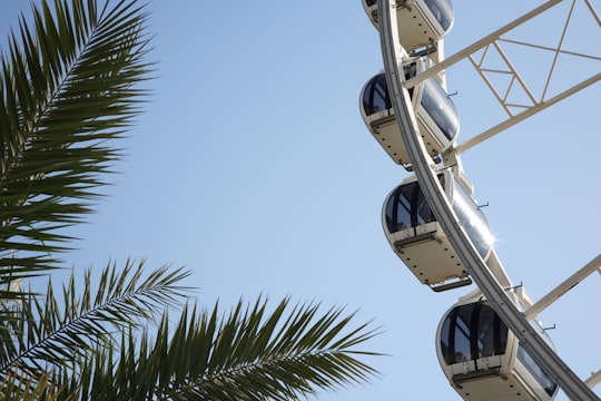 white and gray ferris wheel in Sharjah - United Arab Emirates United Arab Emirates