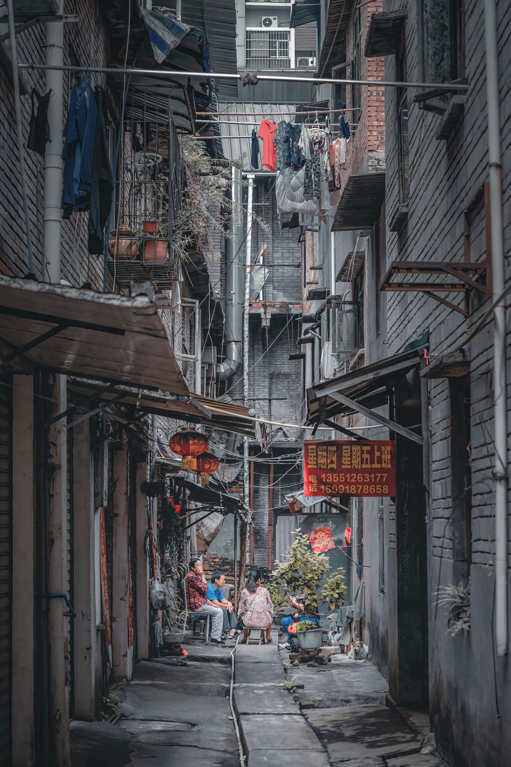 people walking on street during daytime