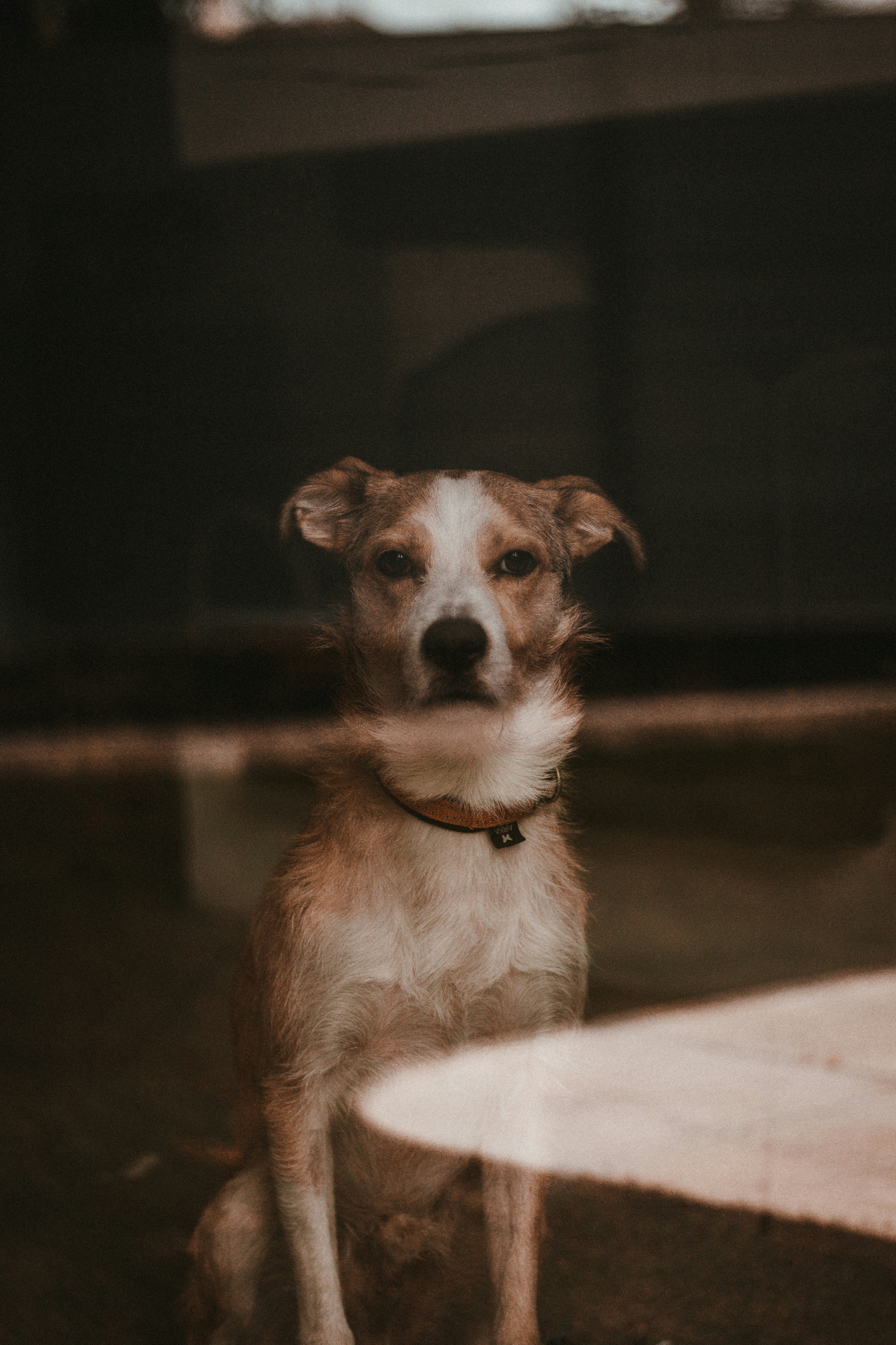 Photo by matreding