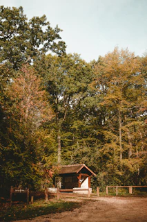 A cozy shelter building surrounded by trees under a bright sky