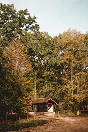 A cozy shelter building surrounded by trees under a bright sky
