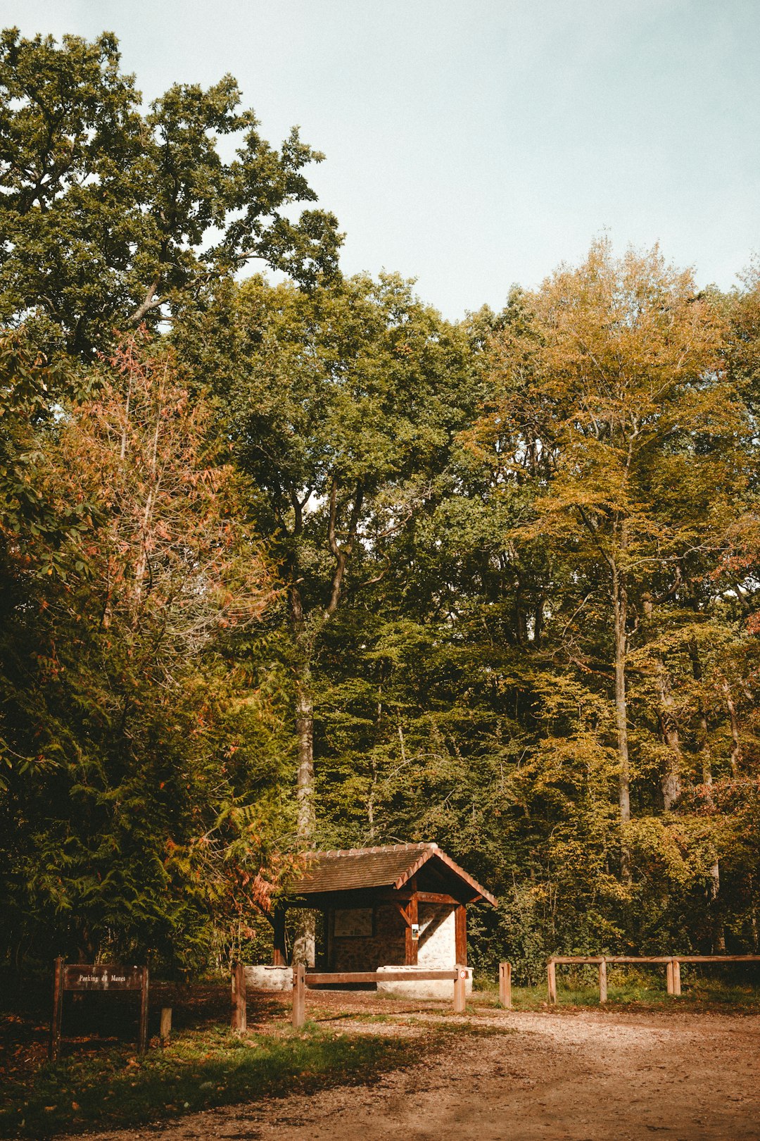 brown wooden house surrounded by green trees during daytime