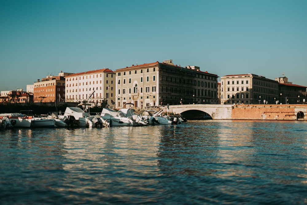 edificio in cemento marrone vicino allo specchio d'acqua durante il giorno