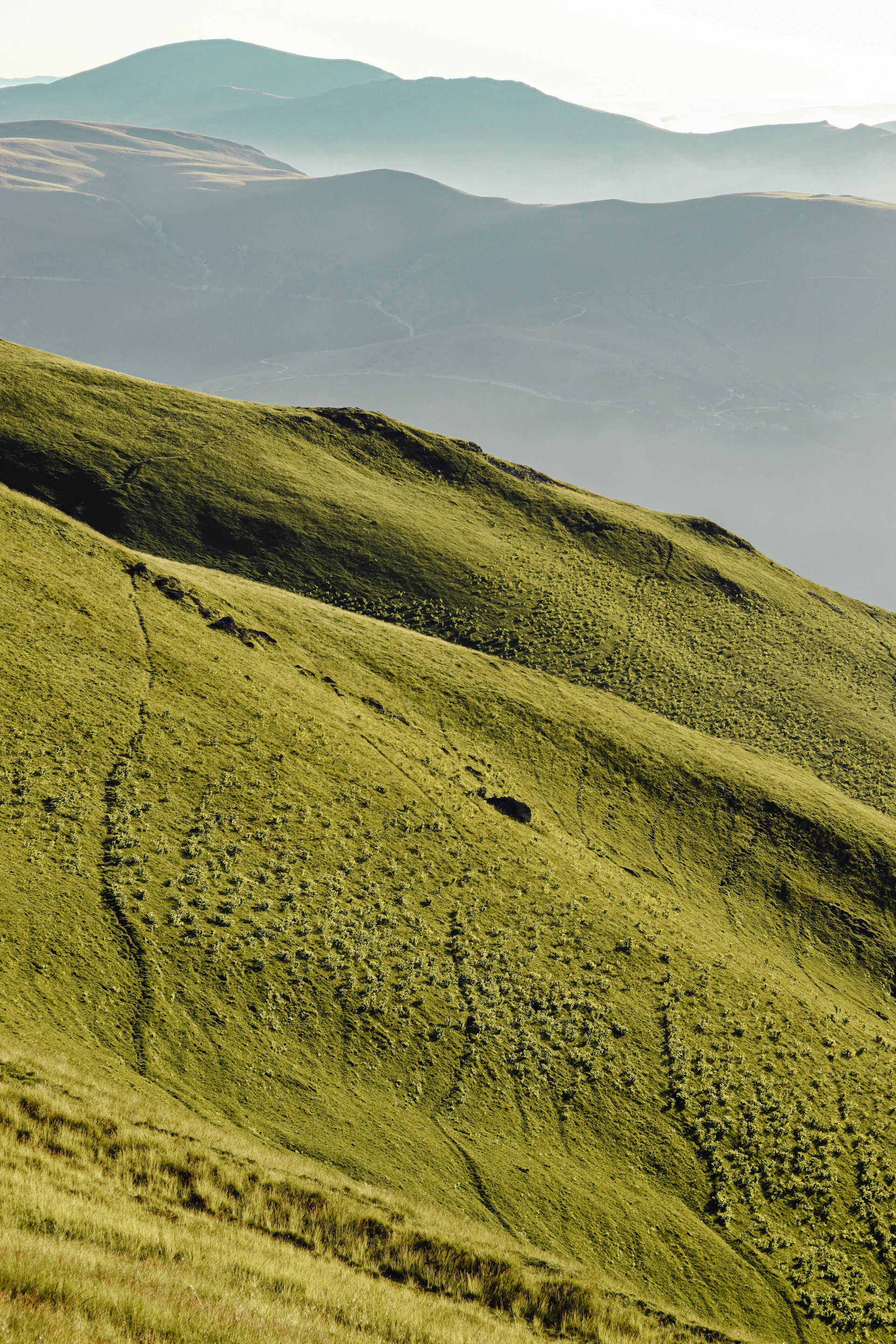 green grass field under blue sky during daytime