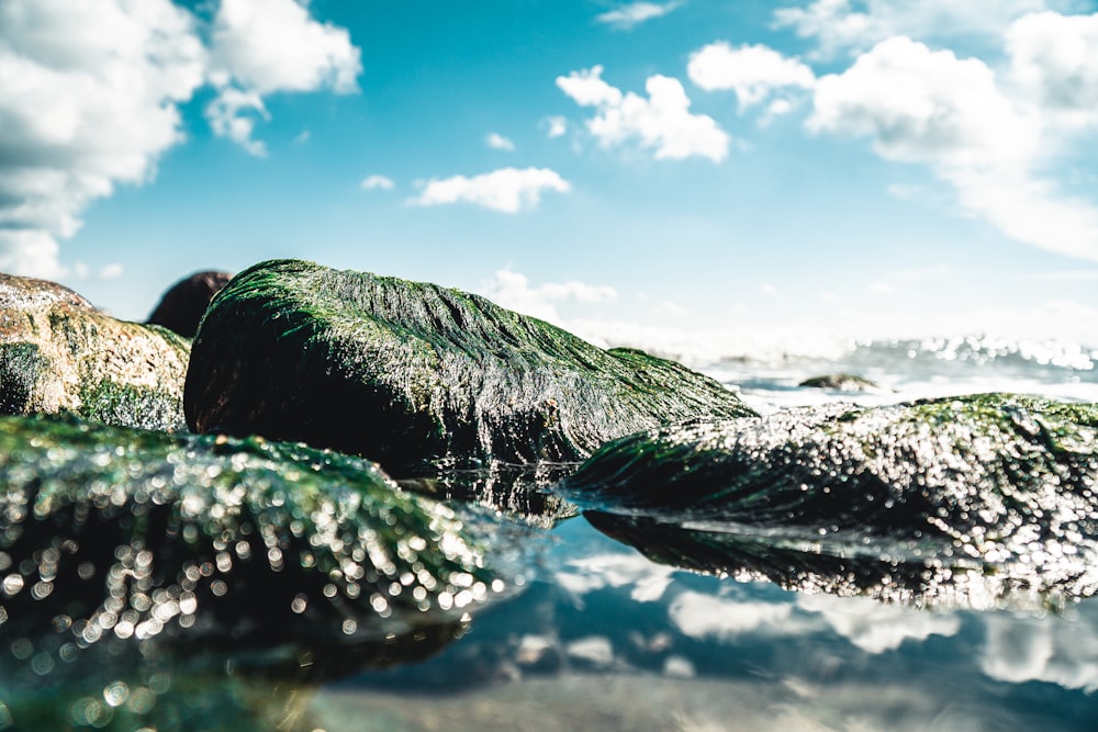 green and white water waves under blue sky during daytime