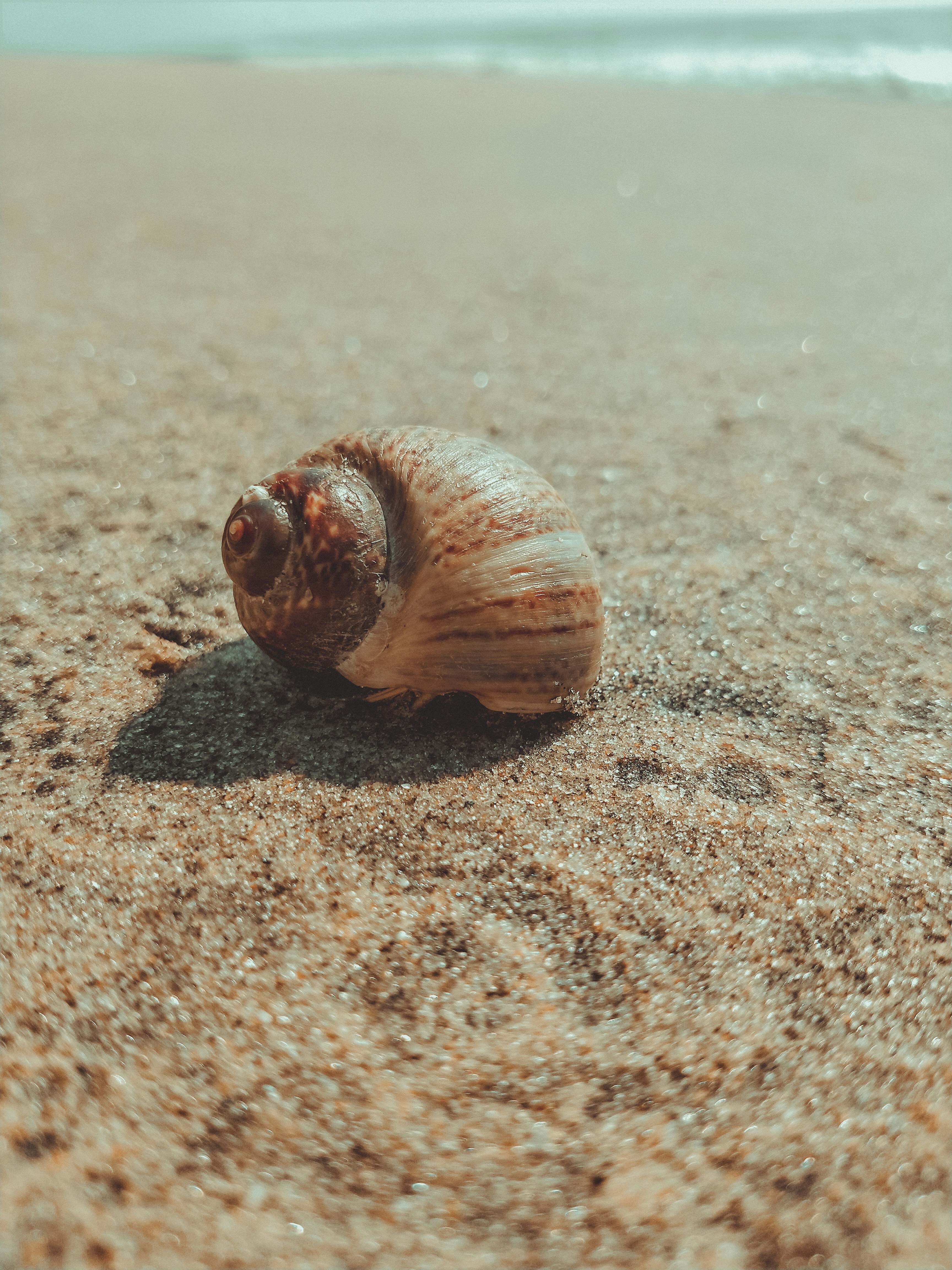 Photo by __maadhu___