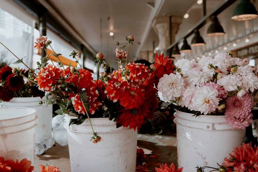 red and white flowers in white ceramic vase