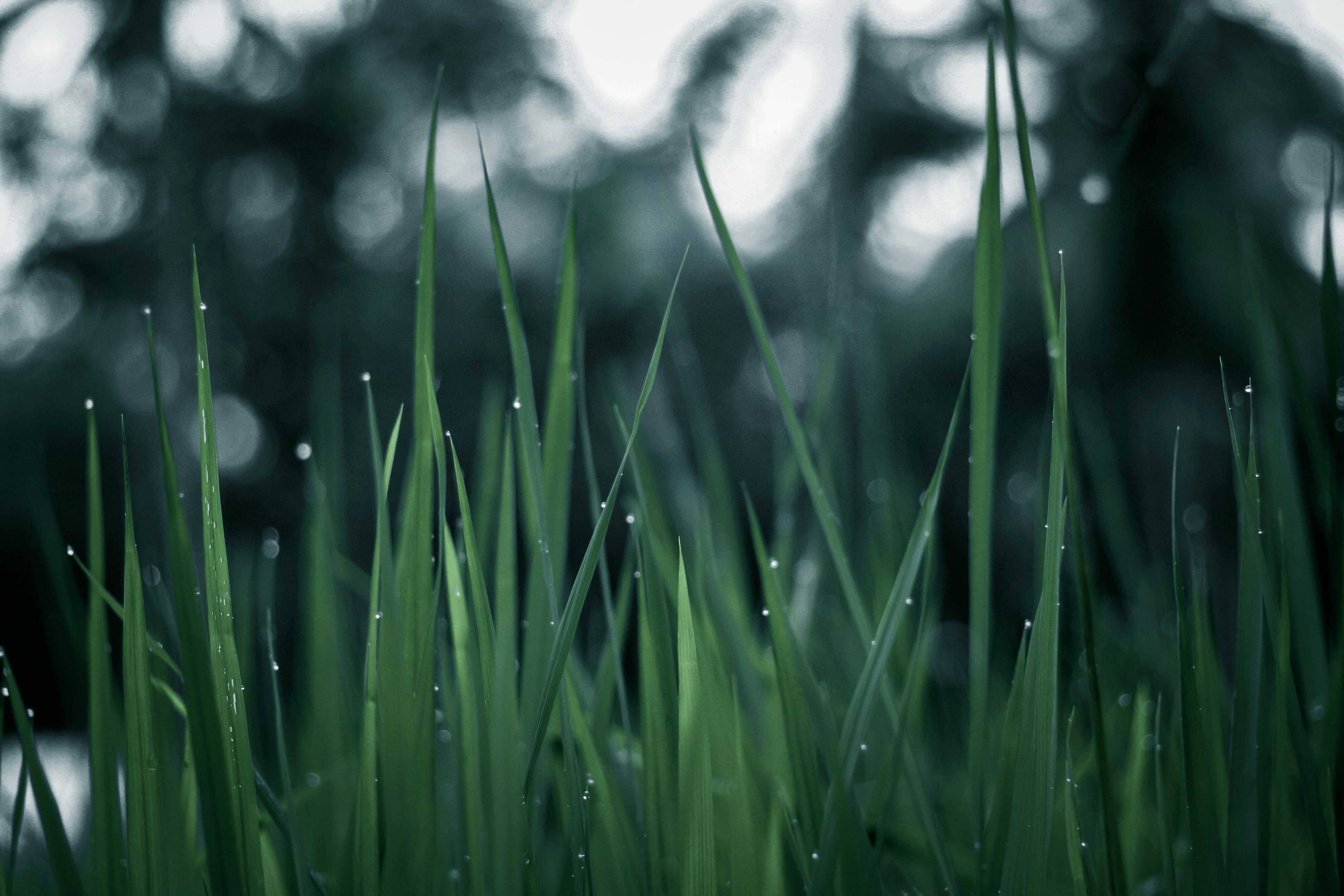 Photo by __maadhu___