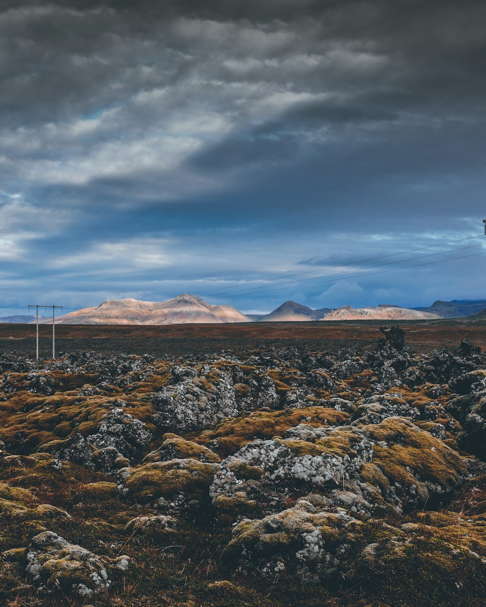 brown and gray rocks near brown field under gray cloudy sky during daytime