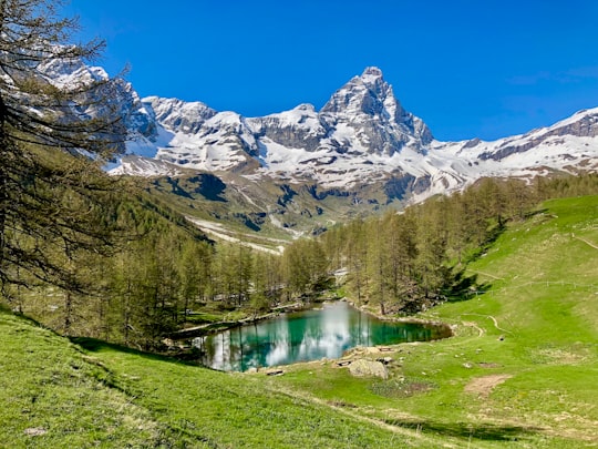 green trees near lake and snow covered mountain during daytime in Aosta Valley Italy