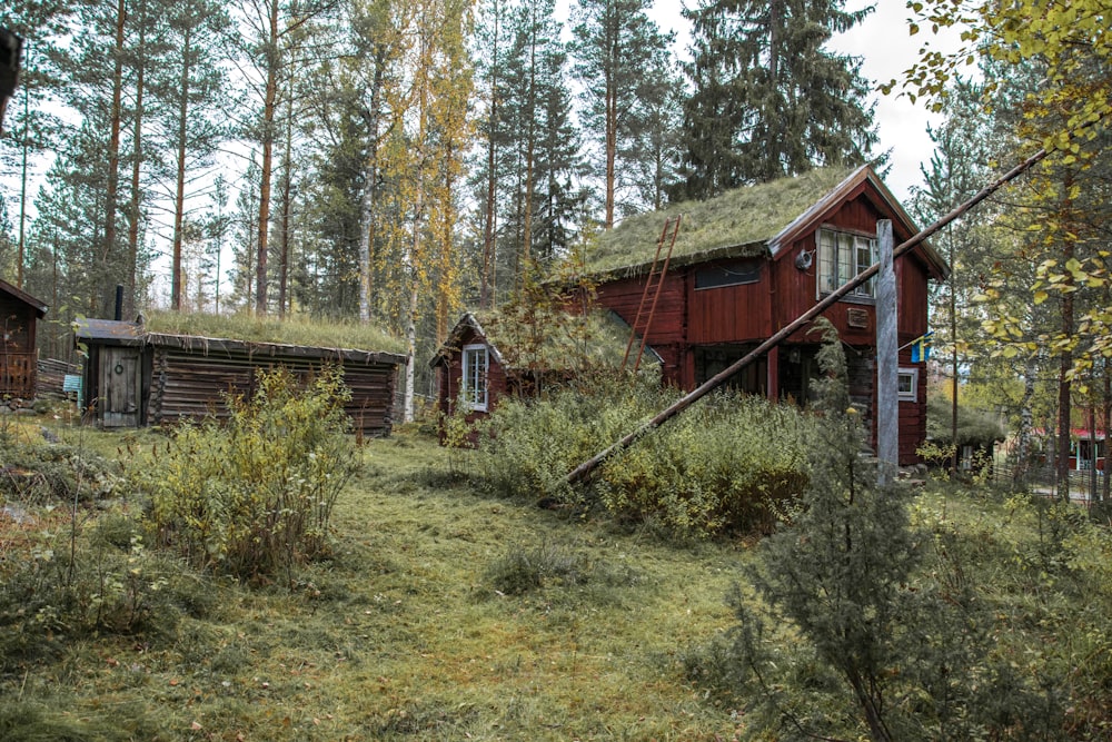 a red house with a grass roof in the woods