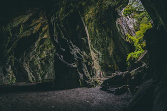brown and green rock formation