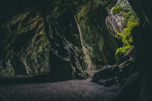brown and green rock formation