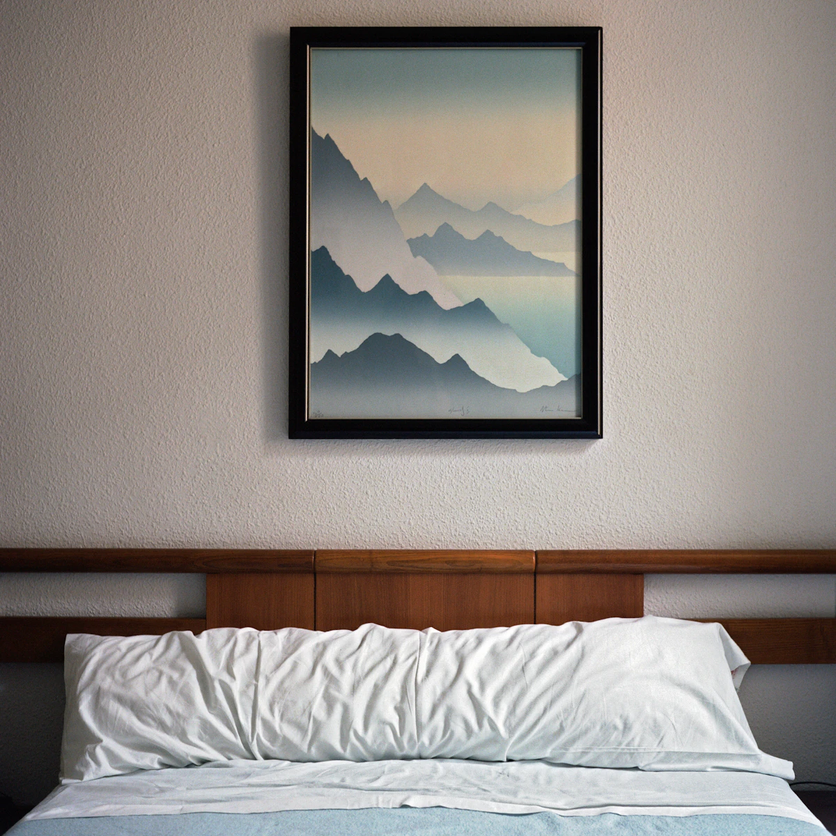 Mountain mist print