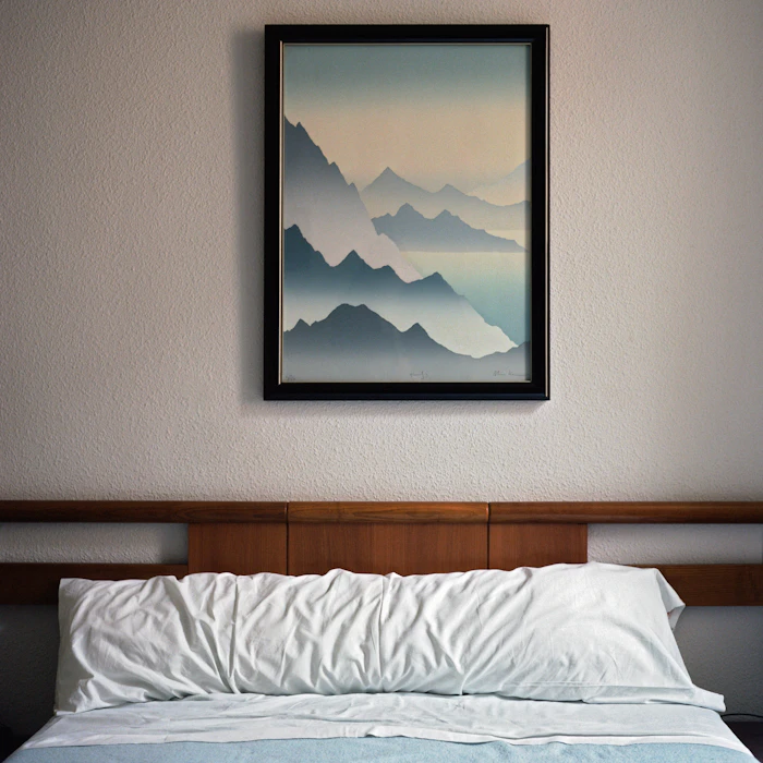 Mountain mist print