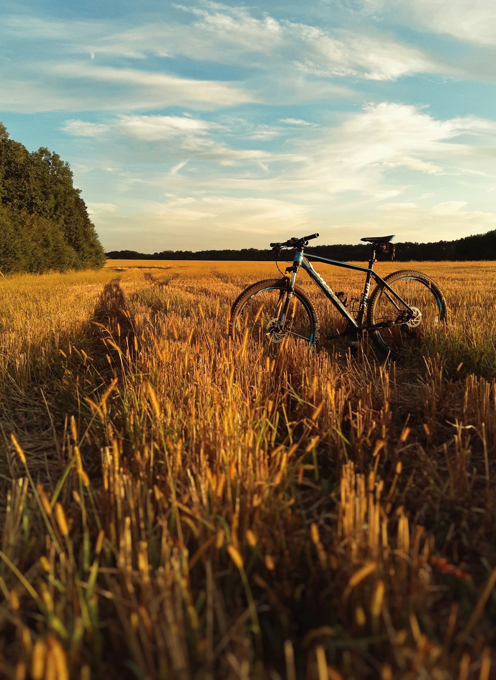 black bicycle on brown grass field under white clouds and blue sky during daytime