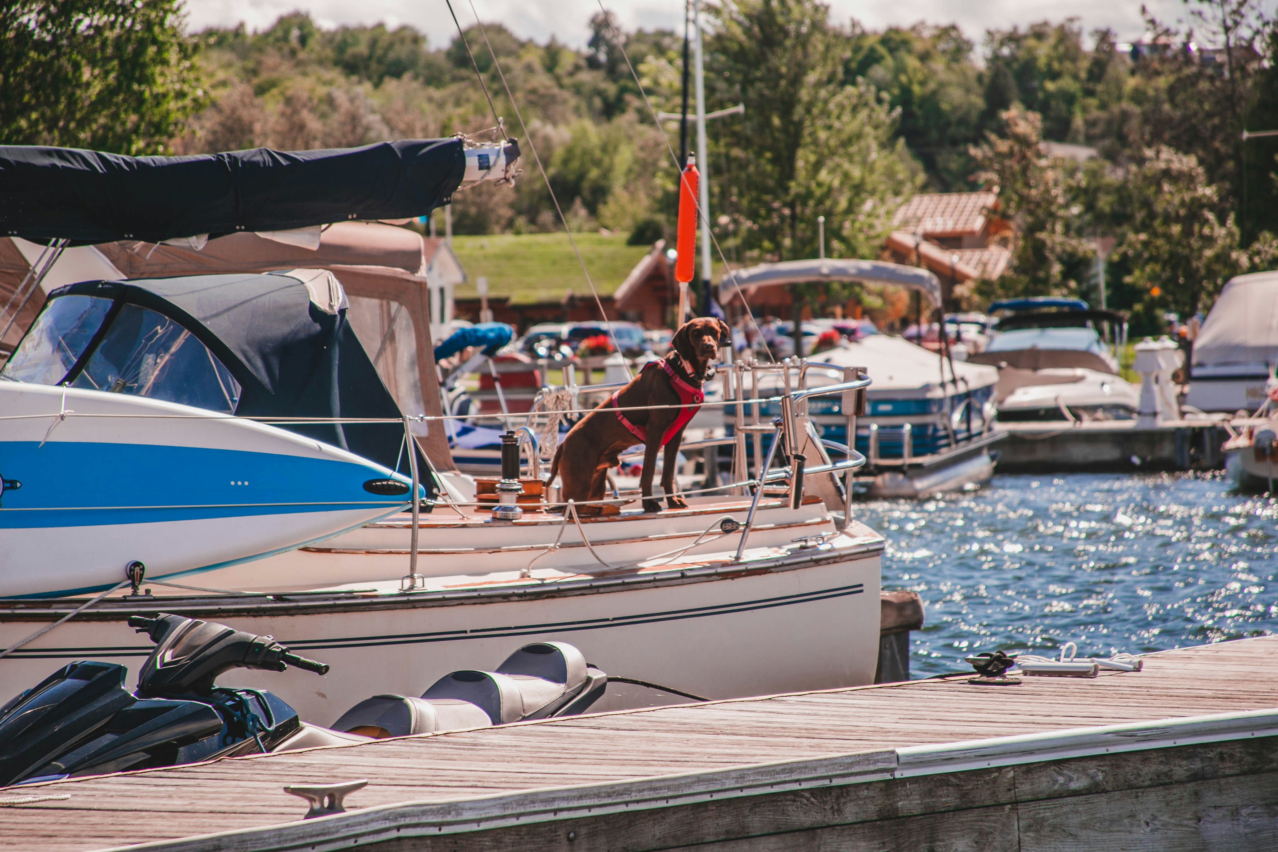 people riding on white and blue boat during daytime