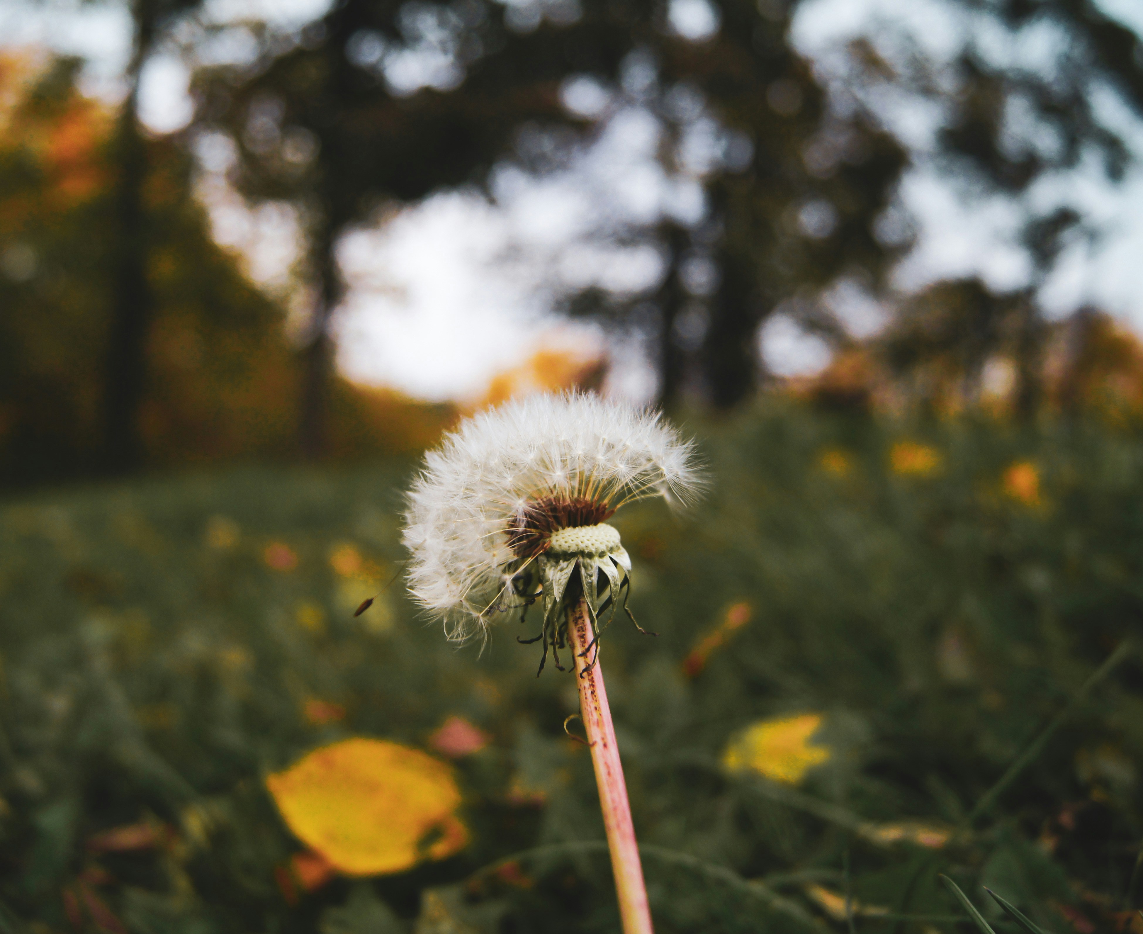 Photo by valeria150815