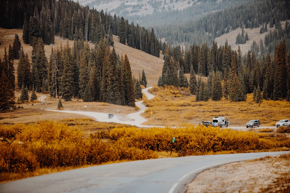 white car on road near trees during daytime