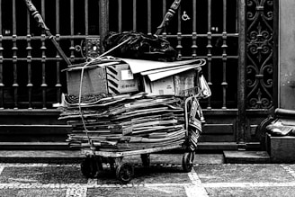 A stack of flattened cardboard boxes and papers are piled on a cart with wheels, positioned in front of a wrought iron gate. The gate features ornate designs, and there is a wheelchair accessibility symbol visible. The scene conveys a sense of urban life and recycling.