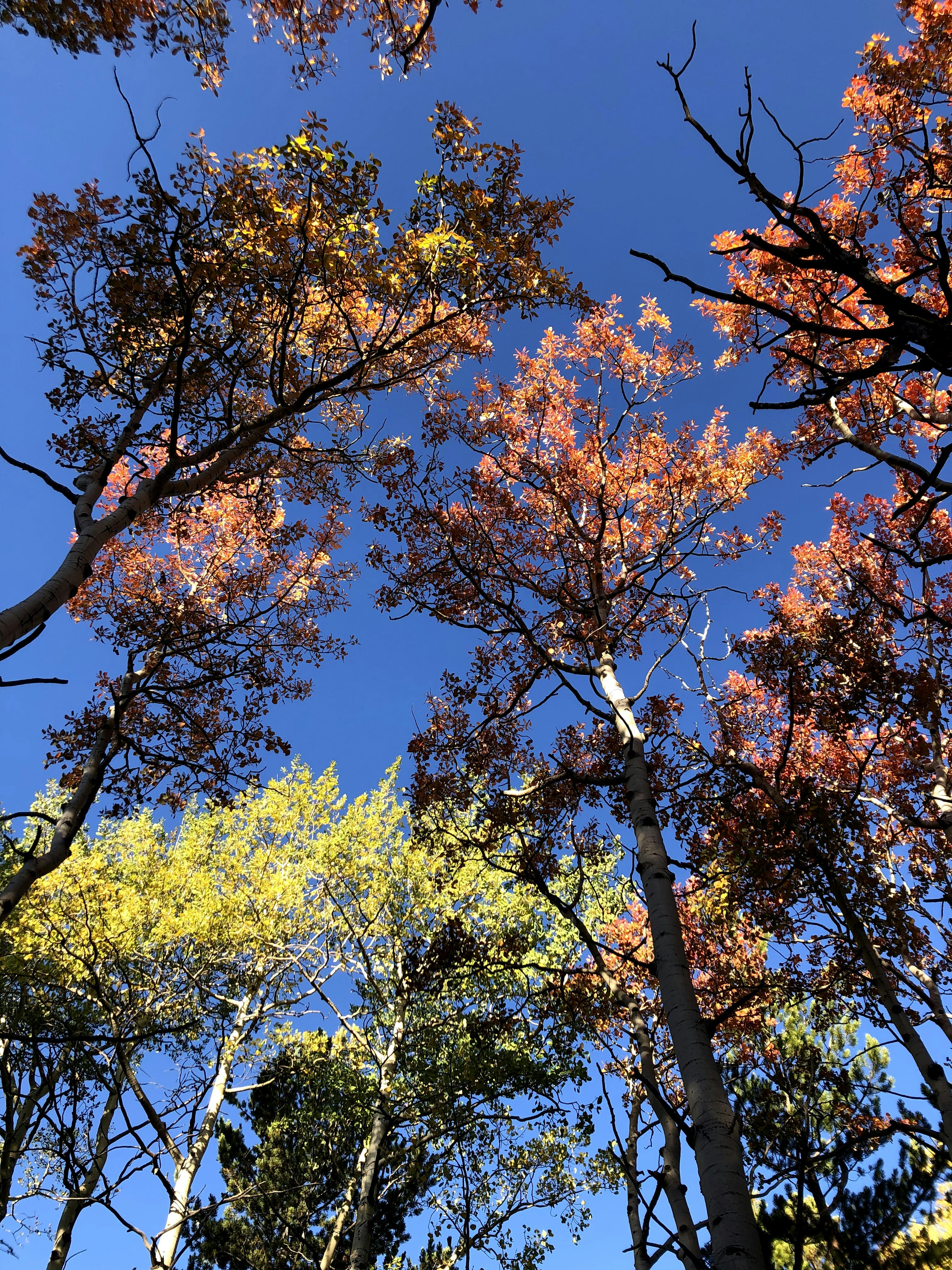 Photo by backroadpackers