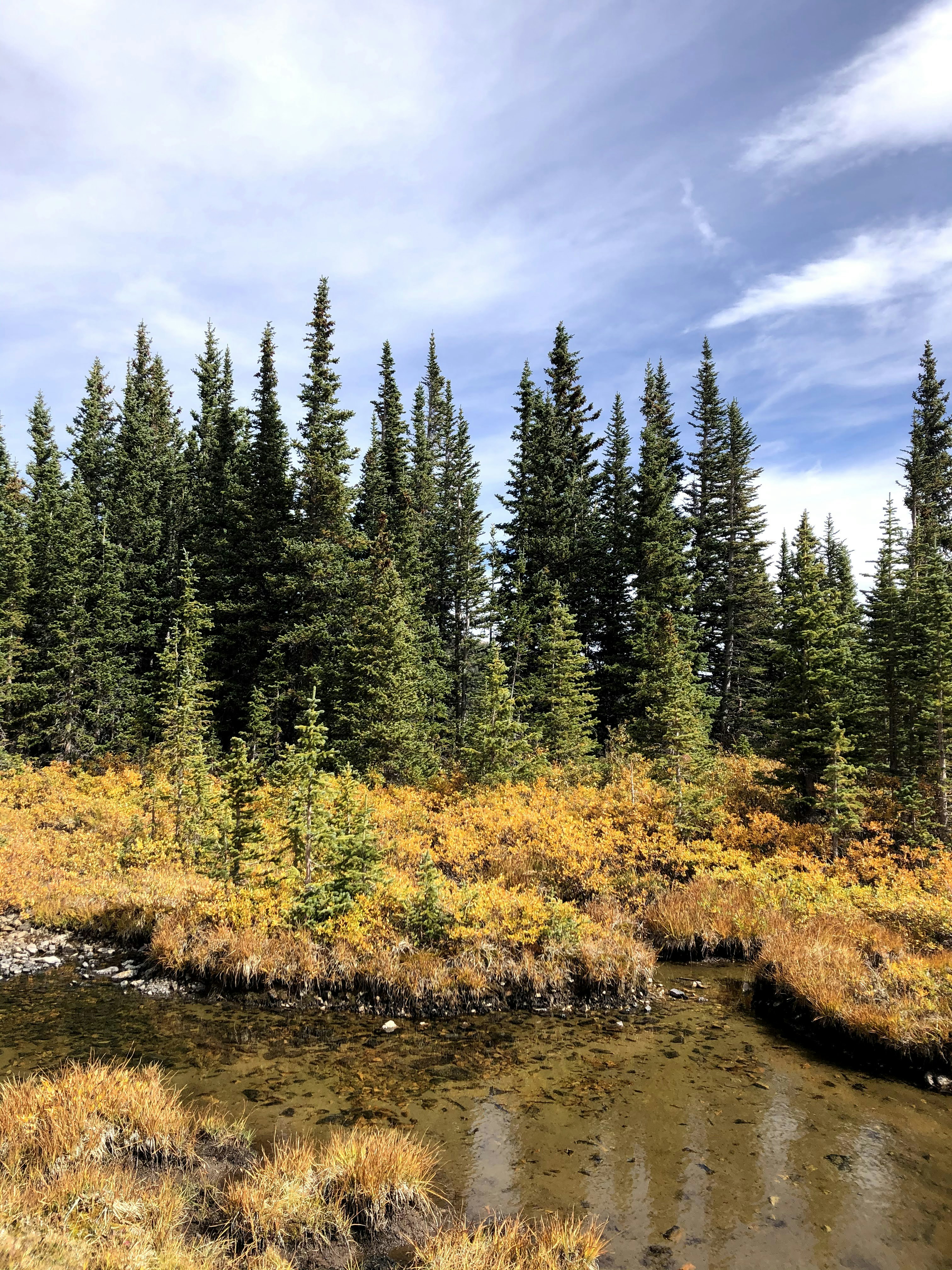 Photo by backroadpackers