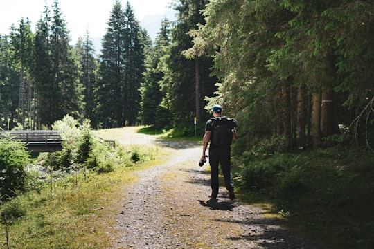 2 men walking on dirt road between green trees during daytime in Gries Austria
