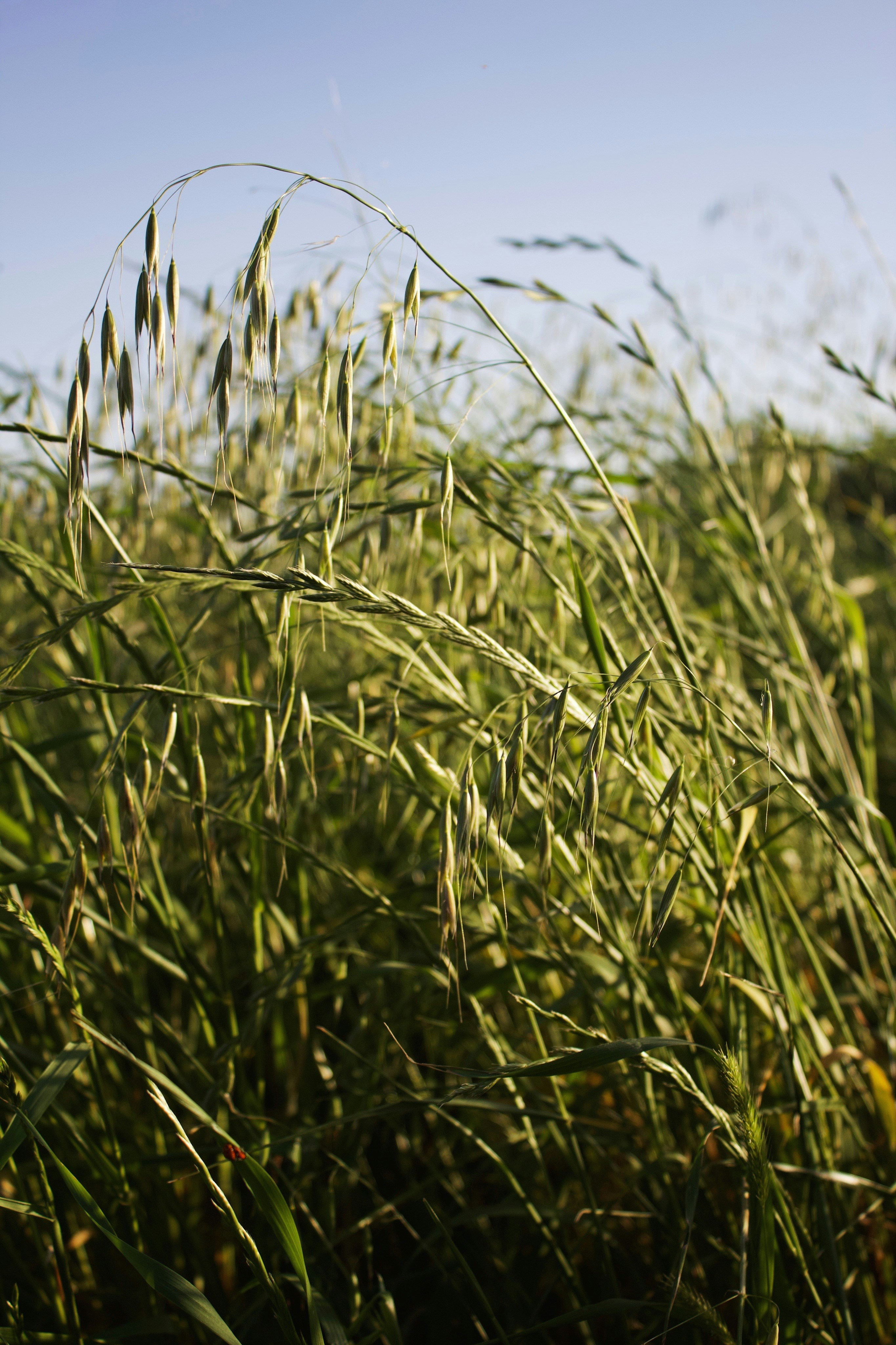 Photo by kailey_hulen